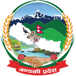 मुख्यमन्त्री नियुक्ति असंवैधानिक - चार दल