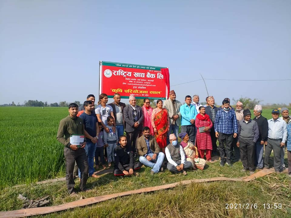 राष्ट्रिय खाद्य बैंकको प्रमोर्टर शेयरमा अत्याधिक प्रतिबद्धता, असार मसान्तबाट शेयर बिक्रि हुने