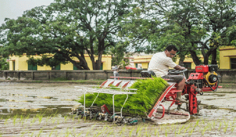धान रोप्न प्रविधिको प्रयोग