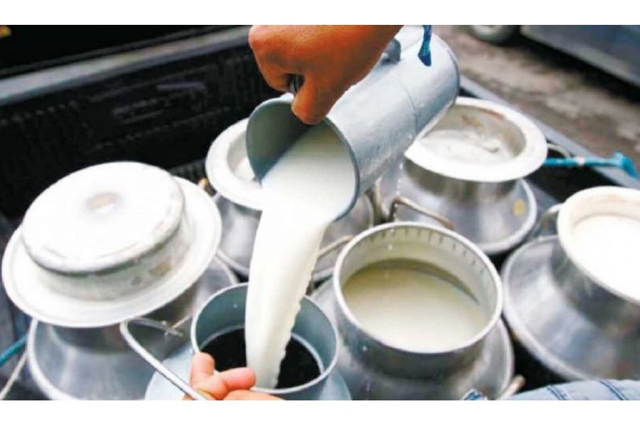 दूध बेचेर वार्षिक रु. डेढ करोड आम्दानी
