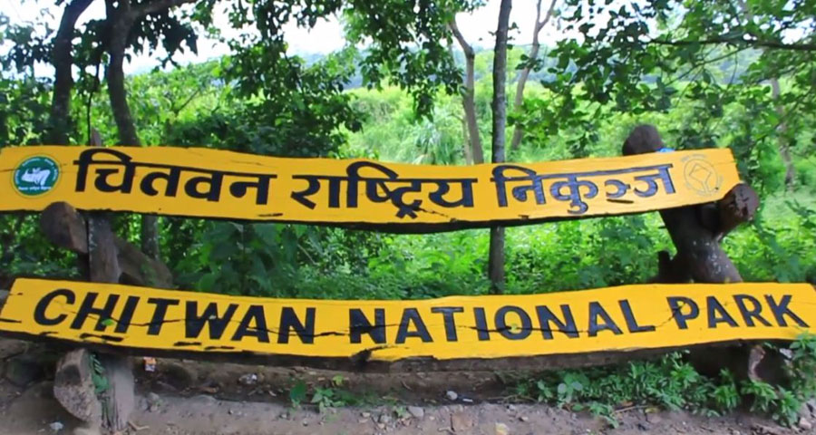 खाग काटिएका अवस्थामा भेटियो मृत गैँडा