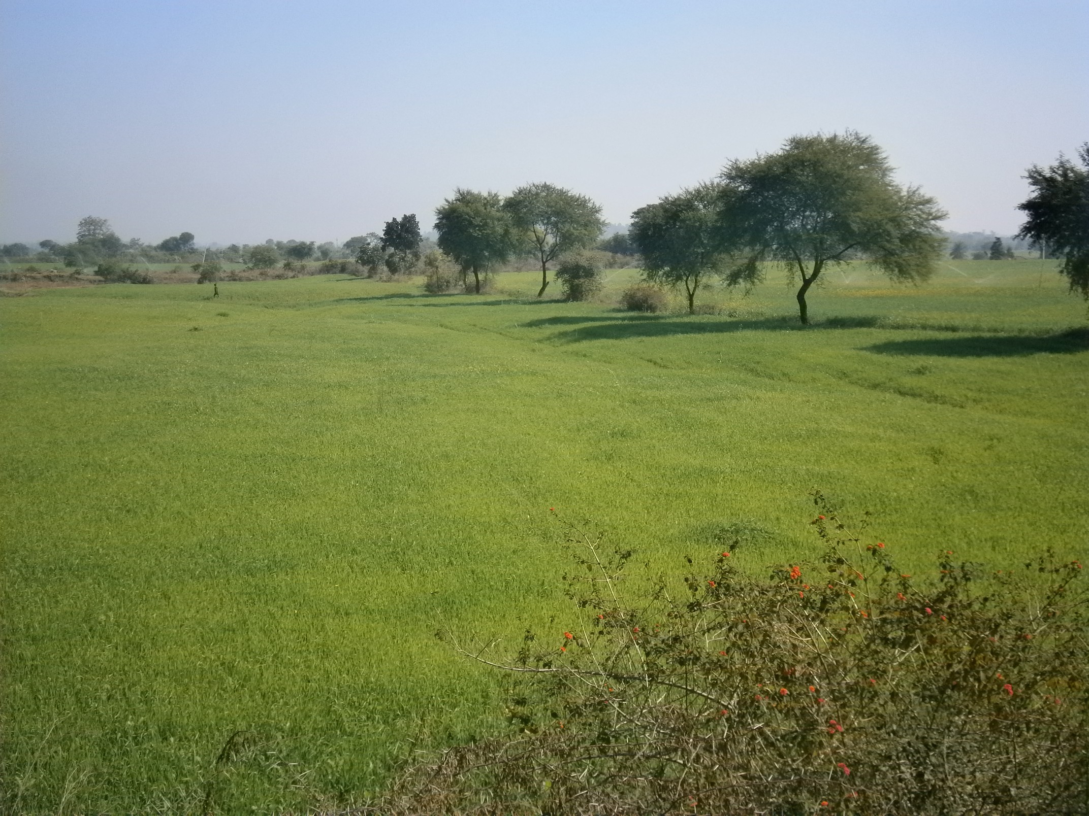 सभापति रायद्वारा भवन बनाउन रु एक करोड बराबरको जग्गादान