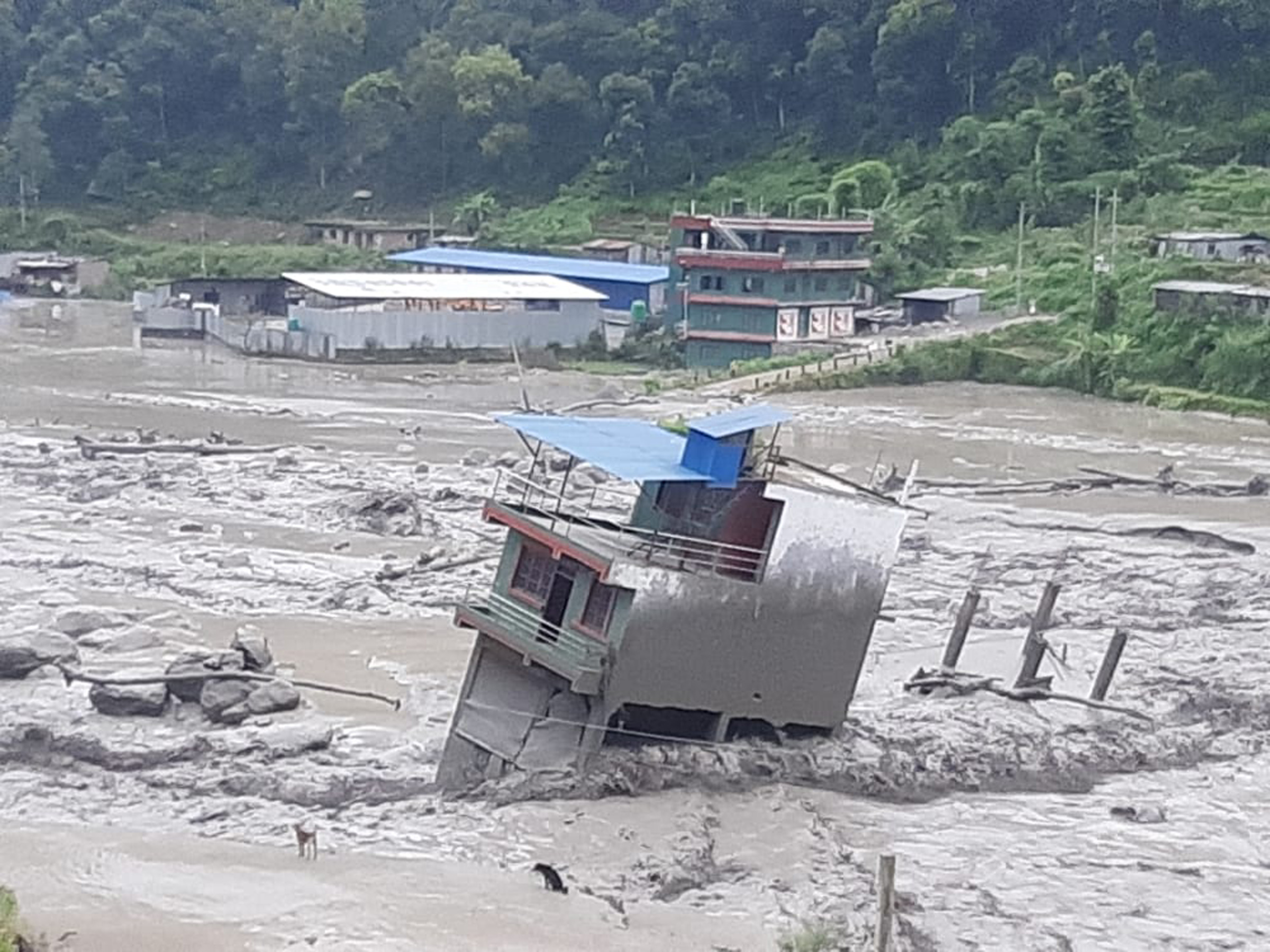 बाढीपहिरो र डुबानमा परी हालसम्म एक सय १६ जनाको मृत्यु 