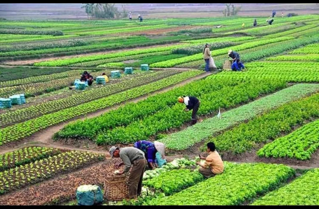 नेपालको कृषि : तथ्यांक तथा विश्लेषण