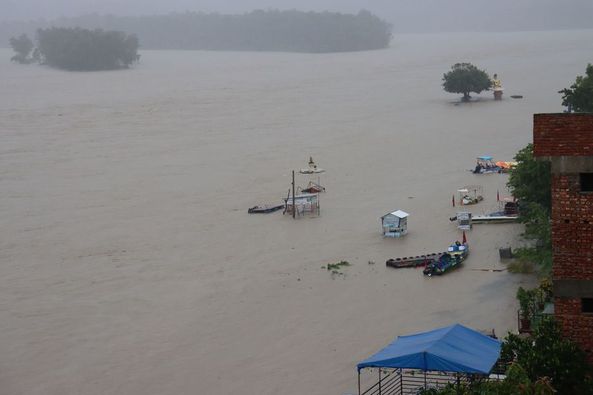 विनयी त्रिवेणीमा ७० घर डुबानमा, दुई सय हेक्टर धान बाली नष्ट