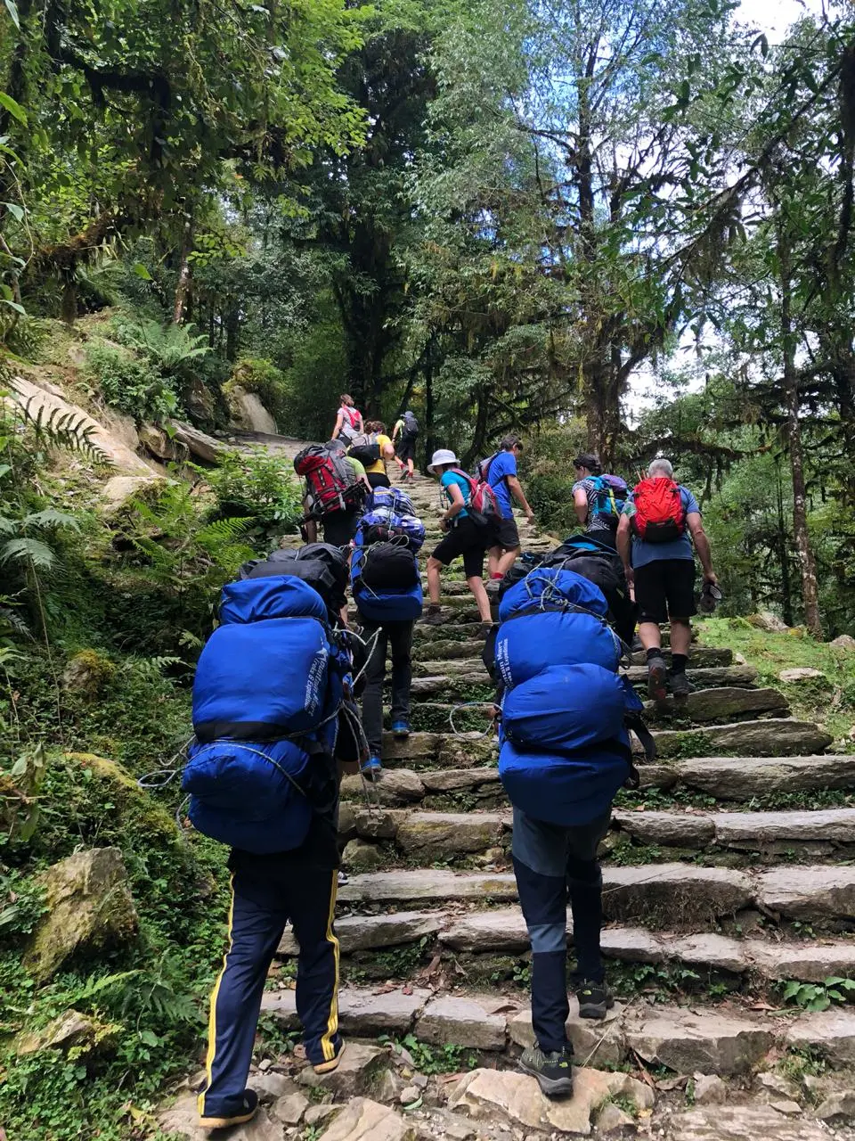 पर्यटन प्रवदद्र्धनका लागि हेलम्बुमा पदमार्ग निर्माण