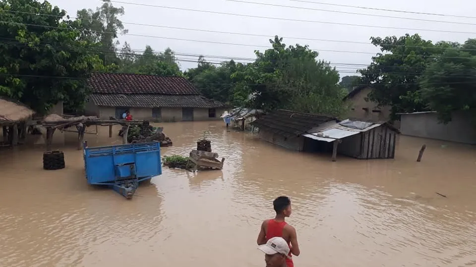 बाढी प्रभावित क्षेत्रमा सर्पको त्रास