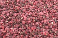 आर्थिक वर्षको १० महिनामा अलैँचीको निर्यात ह्वात्तै बढ्यो