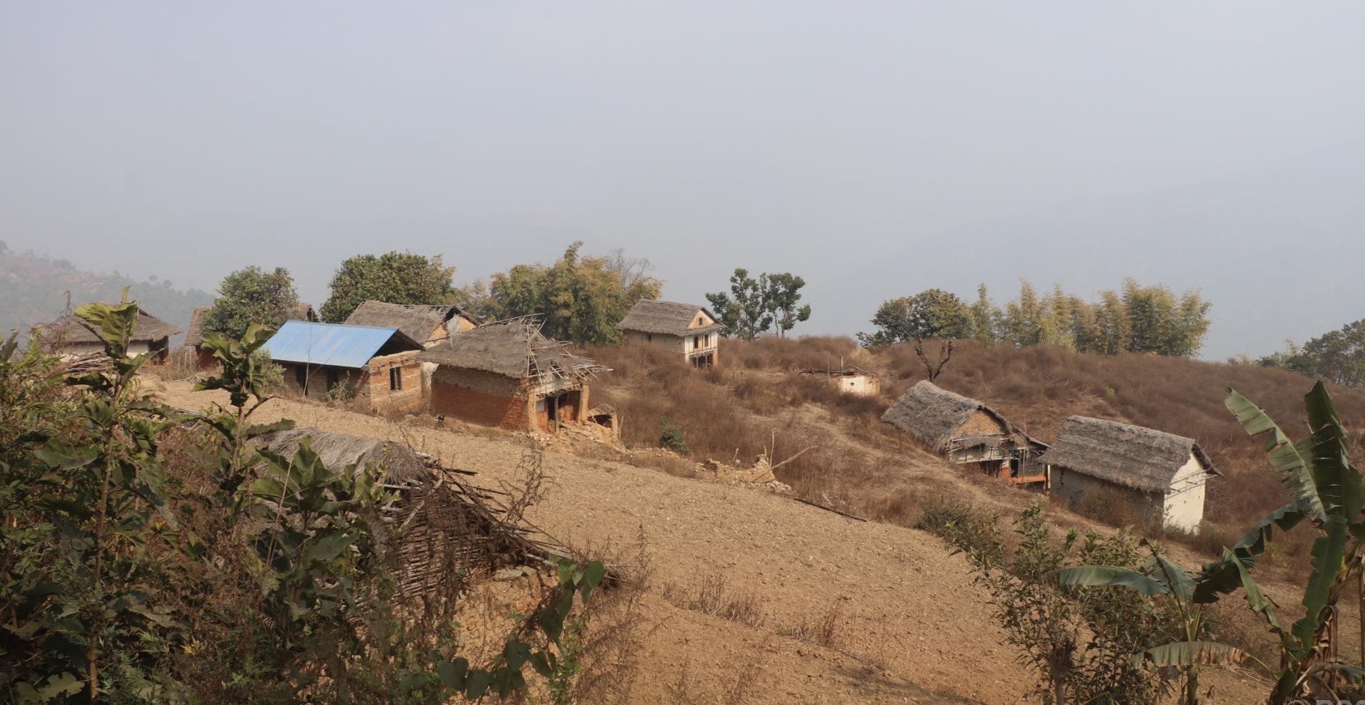 बाँदर आतङ्कले बसाइँसराइ बढ्दा बस्ती नै खण्डहर