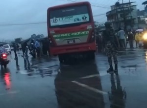 वनस्थलीमा बसको ठक्करबाट एक पैदलायात्रीको मृत्यु
