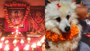 तिहारको तेस्रो दिन आज कुकुर तिहार र लक्ष्मी पुजा मनाइदै