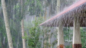 देशका पहाडी र तराईका केहि स्थानमा मध्यम तथा यि पाँच प्रदेशमा भारी वर्षा हुने
