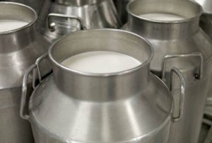 दूध बिक्री नभएपछि दैनिक ४२ लाख घाटा बेहोर्दै किसान