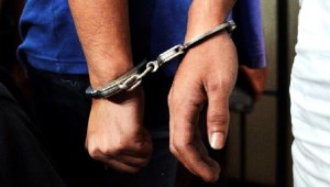अपहरण तथा शरीरबन्धक र जबरजस्ती करणीमा संलग्न दुई जना पक्राउ
