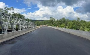 आजदेखि विनयी खोलाको नयाँ पुलबाट यातायात सन्चालन हुने