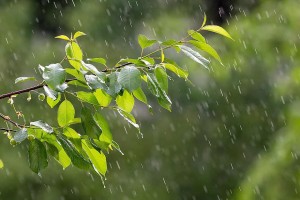 आजको मौसम : तीन प्रदेशमा मध्यम वर्षाको सम्भावना