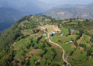 कफी खेतीमा भोजपुरका किसानको आकर्षण