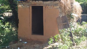 छाउगोठमा सुतेकी कमलाकाे सर्पको टाेकाइबाट मृत्यु
