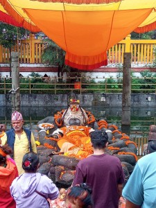 आज हरिबोधिनी एकादशी, तुलसी दामोदरको विवाह गरी मनाइँदै