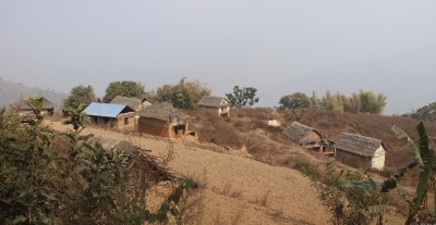 बाँदर आतङ्कले बसाइँसराइ बढ्दा बस्ती नै खण्डहर