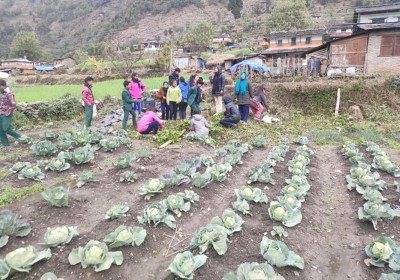 किसानी माध्यमिक बिद्यालयमा पढ्दै सिक्दै अनि कमाउँदै कार्यक्रम 
