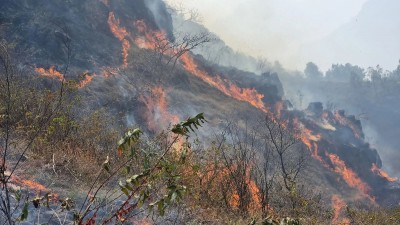 वनबाट फैलिएको आगो गाउँमा पस्दा एक वृद्धको मृत्यु, तीन घर जलेर नष्ट