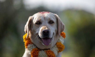 आज कुकुर तिहार
