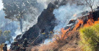 गोरखामा डढेलो नियन्त्रण प्रयासः पातपतिङ्गर सङ्कलन गर्नेलाई नगद पुरस्कार