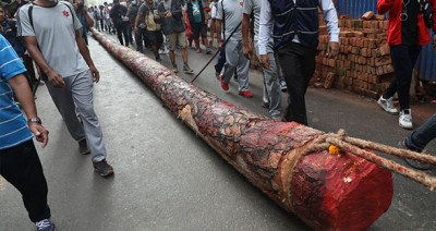 आज यःसिं अर्थात् इन्द्रजात्रामा ठड्याइने इन्द्रध्वज लिङ्गो काटिँदै
