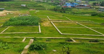 सरकारलाई जग्गा दान गर्छु भन्दापनि पाएनन् समाजसेवी श्रेष्ठले
