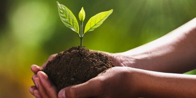 आज जैविक विविधता दिवस, विभिन्न कार्यक्रमका साथ मनाइँदै