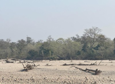 कर्णालीमा हरेक वर्ष बग्छन् करोडौँका काठ