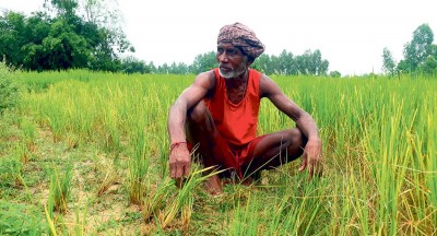 बैँक किसानसम्म पुग्दैन, ऋणका लागि अझै सहकारीमै निर्भर छन् किसान