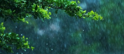 यी तीन प्रदेशको थोरै स्थानहरूमा हल्कादेखि मध्यम वर्षा