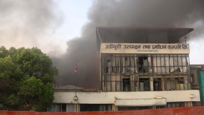 ‘चाँडै बौरिने छ जडीबुटी कम्पनी’