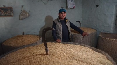 विदेश र बजारबाट गाउँ फिरेका ध्रुर्व रैथाने खेती