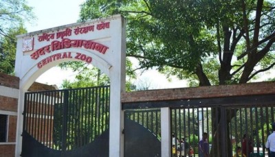 जावलाखेलको सदर चिडियाखाना बेलुका ८ बजेसम्म सञ्चालन हुने