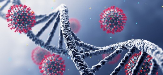 पोखरामा कोरोना सङ्क्रमणबाट एक महिलाको मृत्यु