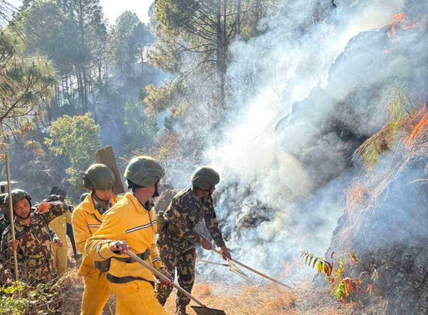 डढेलोले सखाप हुँदै पाल्पाका जङ्गल