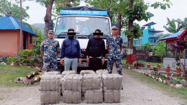 गाजाँसहित २ जना व्यक्ति र ट्रक सशस्त्र प्रहरीको नियन्त्रणमा