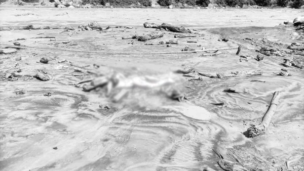 त्रिशूली नदीको छुट्टाछुट्टै स्थानमा दुईजनाको शव फेला