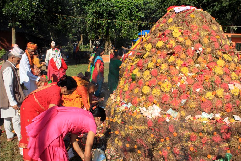 आज गोवर्द्धन, बलि, गोरु  पूजा