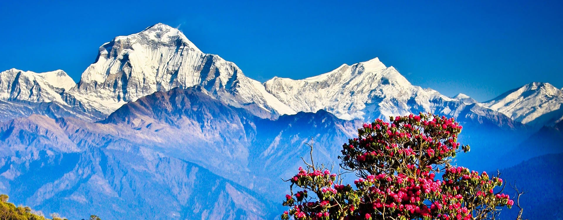 २०२२ मा अन्नपूर्ण पदमार्गमा विदेशी पर्यटकको संख्या करिब १६ हजार 