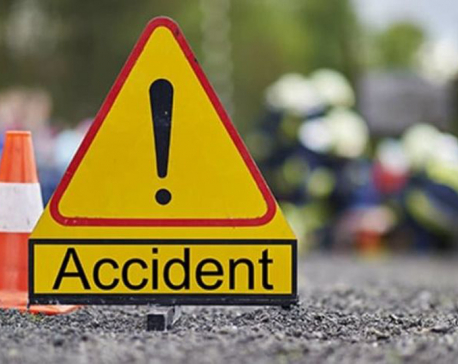 पाल्पाबाट मनकामना जाँदै गरेको बस दुर्घटना हुँदा ५ को मृत्यु, २५ घाइते