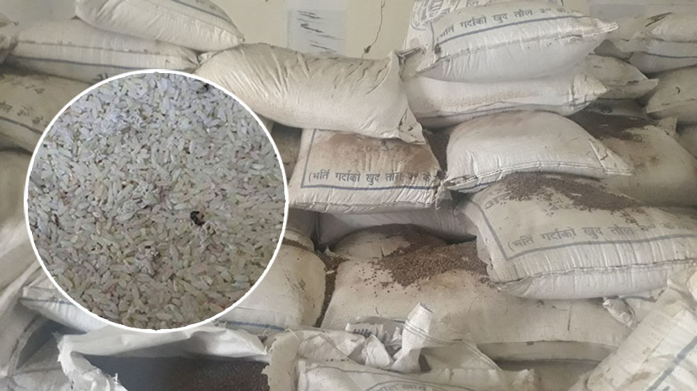 विश्व खाद्य कार्यक्रमले नेपालको लागी पठाएको ५४ हजार किलो चामल गुणस्तरहीन