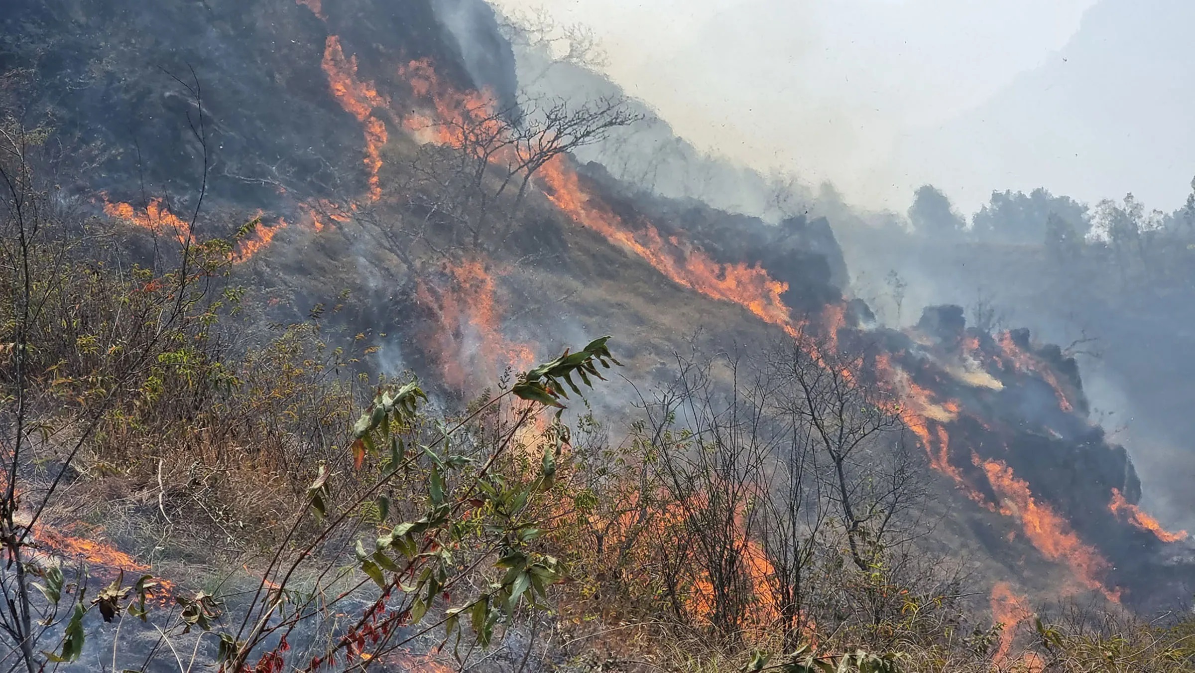 वनबाट फैलिएको आगो गाउँमा पस्दा एक वृद्धको मृत्यु, तीन घर जलेर नष्ट