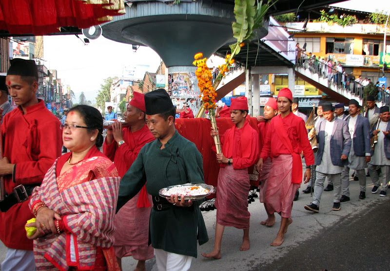 नवरात्रको सातौँ दिन आज घर घरमा फूलपाती भित्र्याइँदै