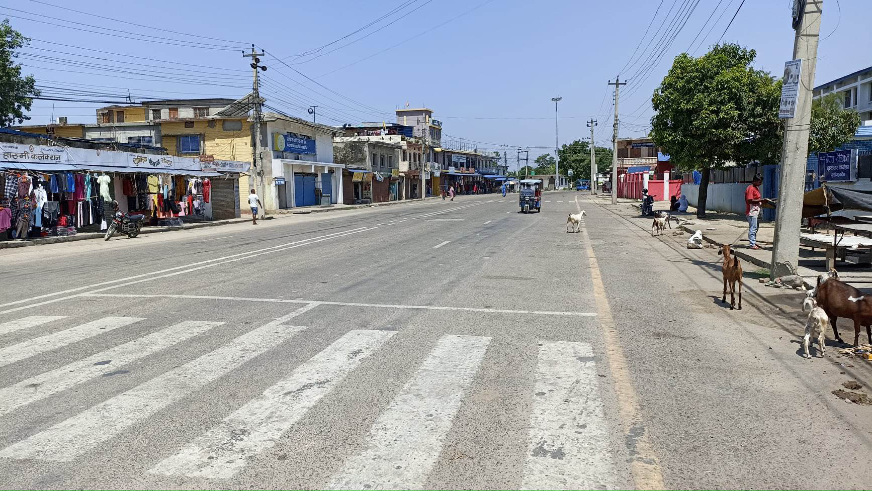 अत्यधिक गर्मीले तराई/मधेशका लामखुट्टे समेत मरे
