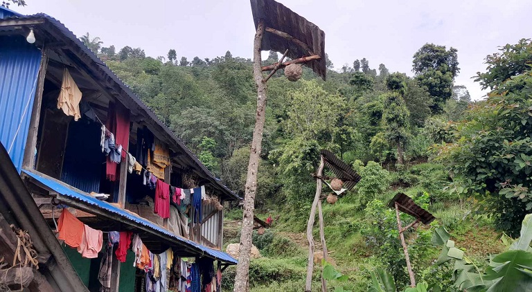 गोरखाको शहीद लखन गाउँपालिकाका घरघरमा अरिङ्गाल पालनबाट मनग्य आम्दानी