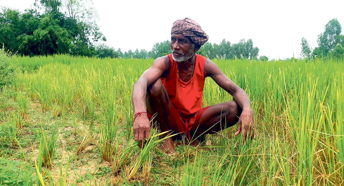 बैँक किसानसम्म पुग्दैन, ऋणका लागि अझै सहकारीमै निर्भर छन् किसान